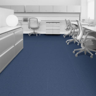 Elevation Iii Summary Commercial Carpet Tile Interface
